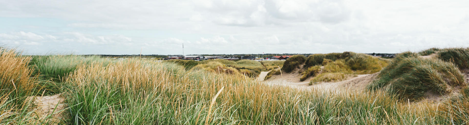 Dünen und Strand in Dänemark Wohnmobilurlaub